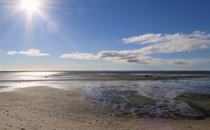 IMG_0695_SunFLare-AM_9-30-LILL