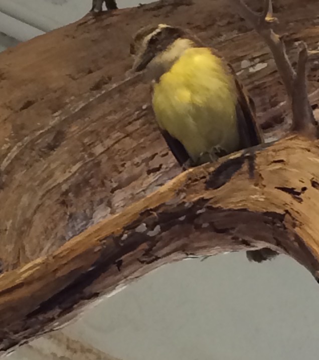 IMG_0212 - Version 2