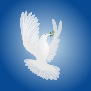 white-dove-spirit-of-peace-1244811