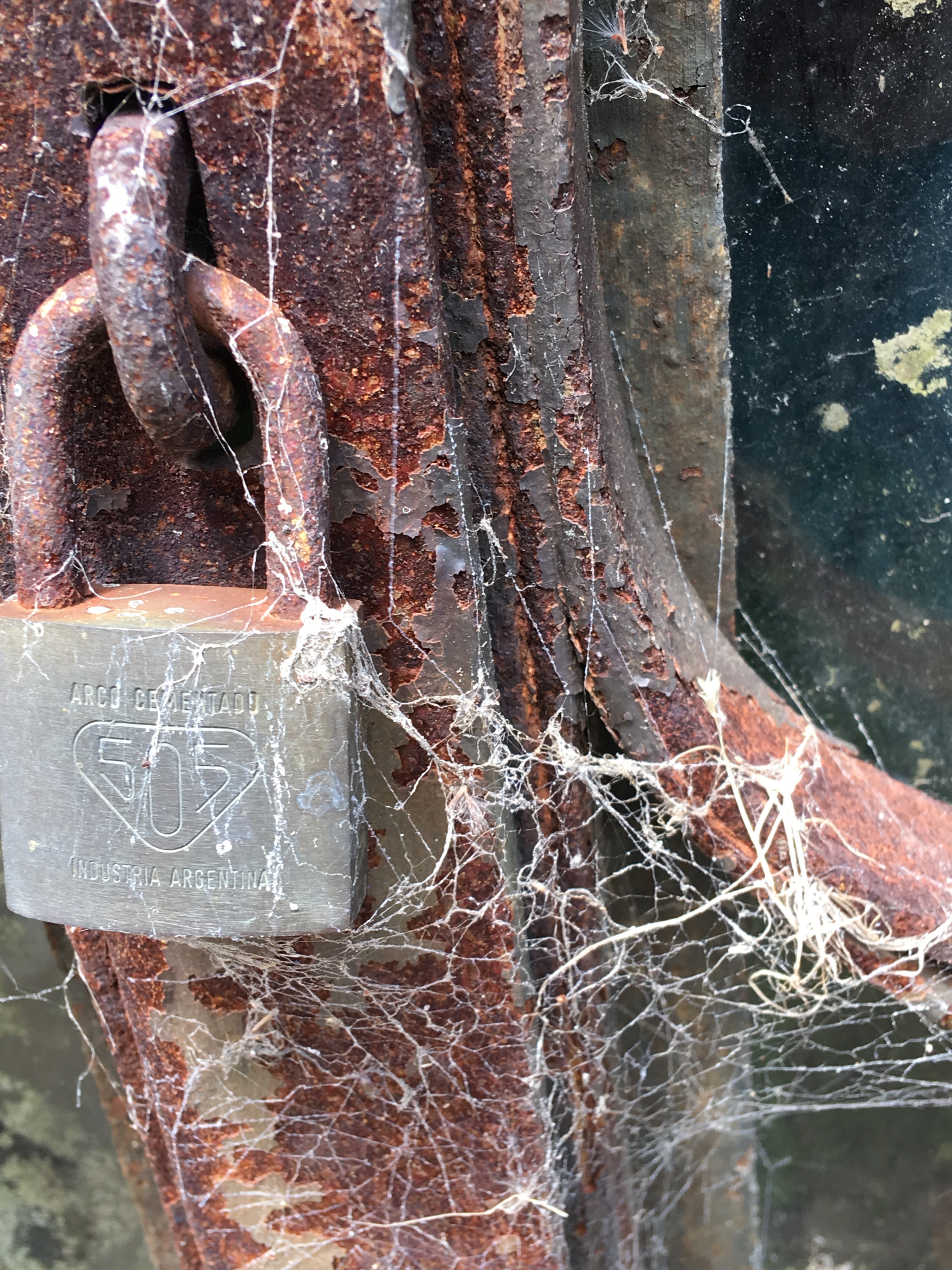 1911AF33-AF0E-428A-90B0-5A688E16A9EE