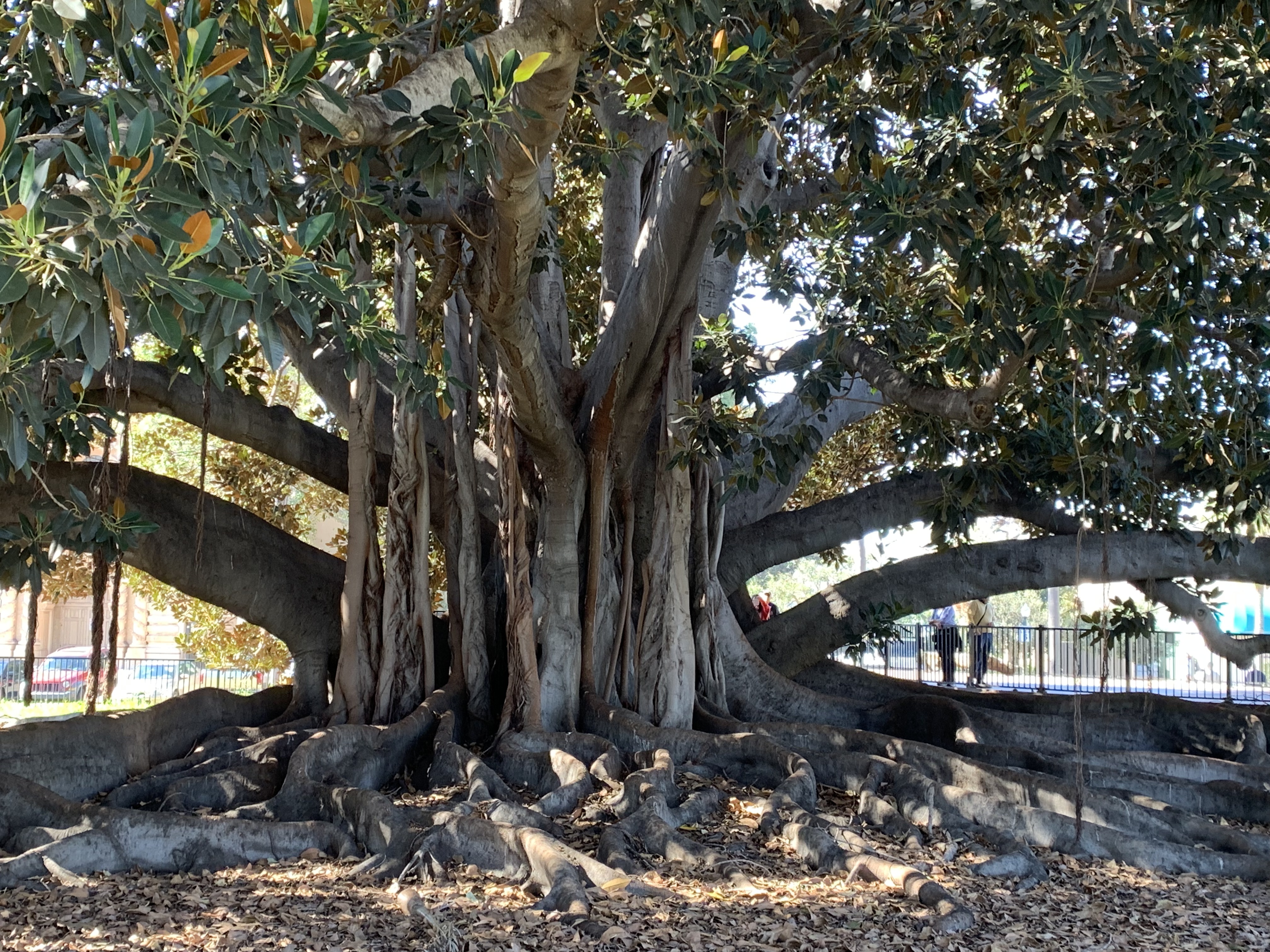 Explore with Care – lillian the home poet